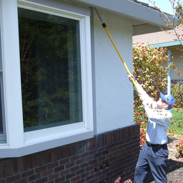 Home Pest Control in Sacramento, CA