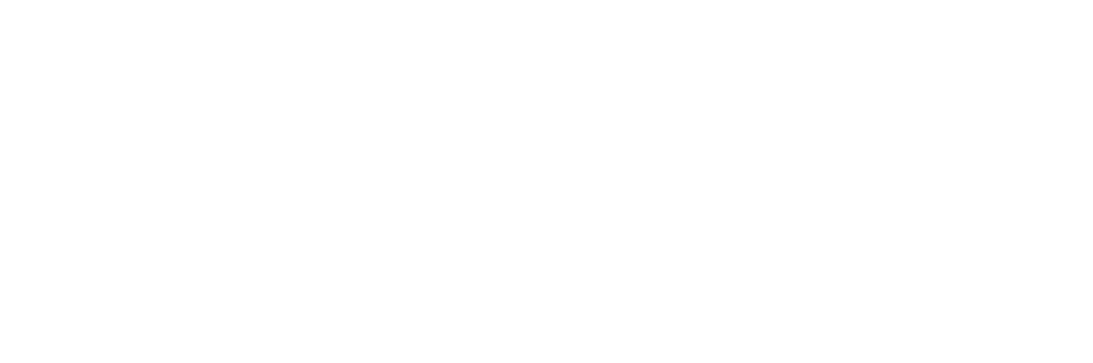 Make a Wish Foundation Logo