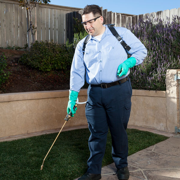 pest control technician