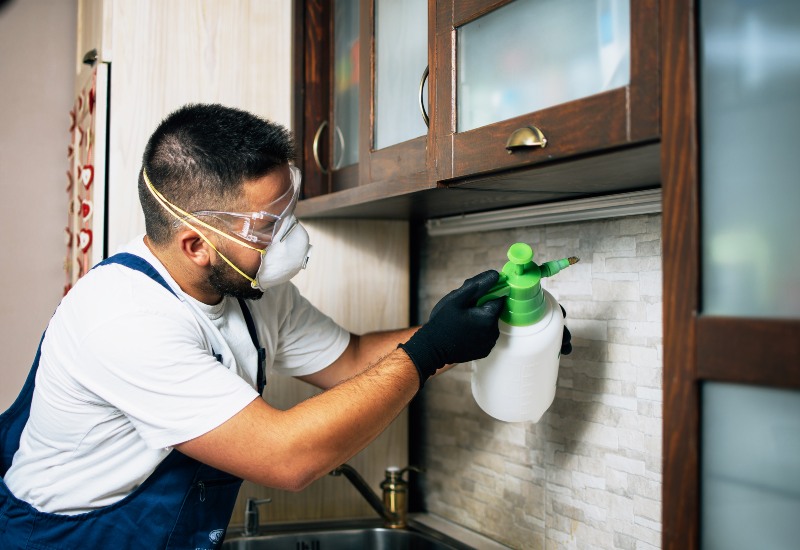 Pest Control Expert in Gear, Getting Ready to Eliminate Insects in Sacramento, CA