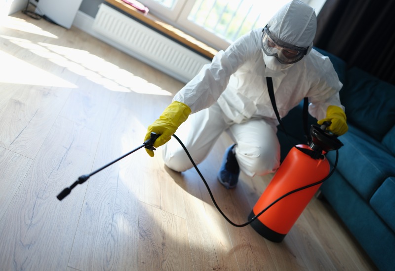 Pest Control Expert from Apex Pest Control Works in Apartment in Sacramento, CA